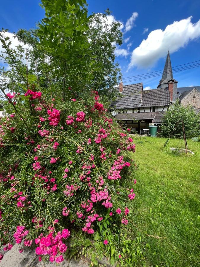Peterslahr 300 Jahre Altes Renoviertes Fachwerkhaus 빌라 외부 사진